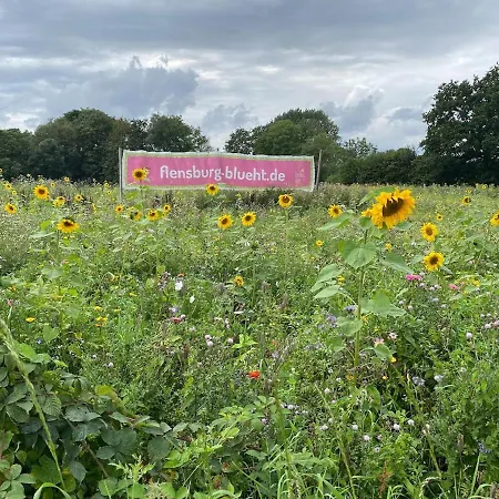 Engelsby-dorf Flensburg